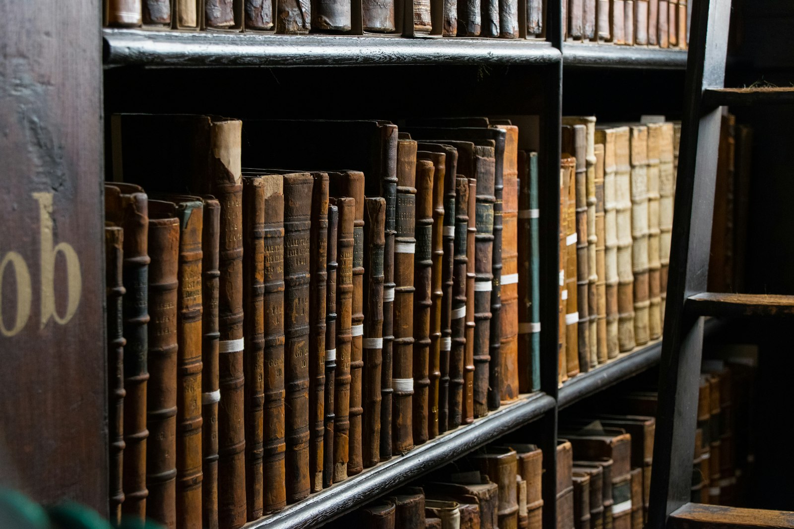 Rows of old leather-bound law books on wooden shelves